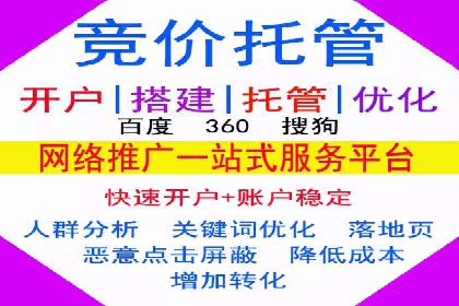 探索SEM代运营公司的经典案例与策略